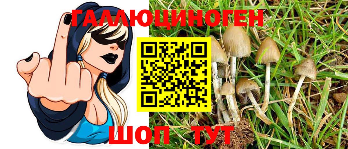 купить закладку  Псилоцибиновые грибы Magic Shrooms  Вход с VPN  Псилоцибиновые грибы мухоморы  Добрянка 